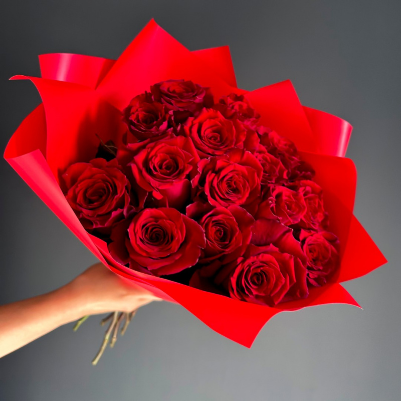 Солнечный зайчик