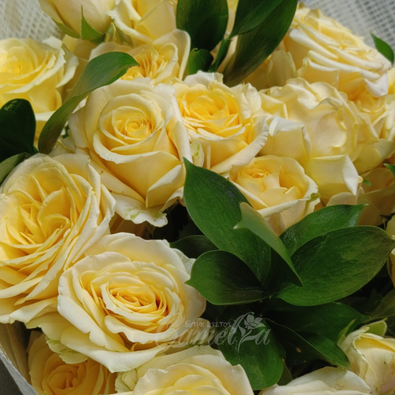 Шкатулка чувств  1