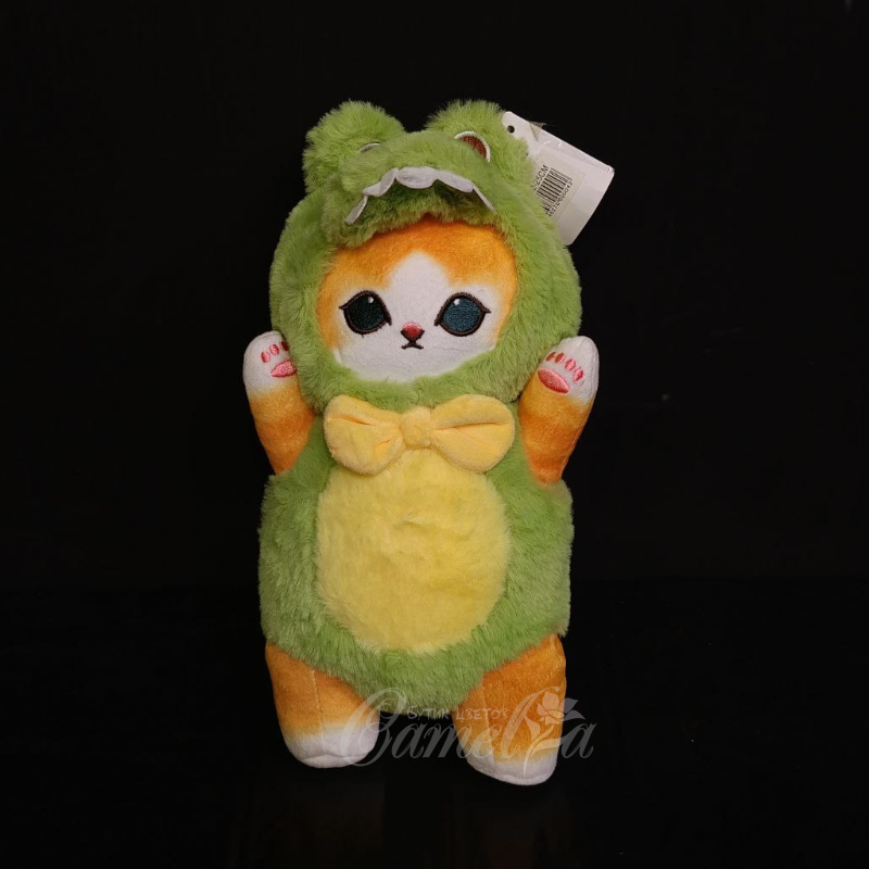 Кот «Дракоша»
