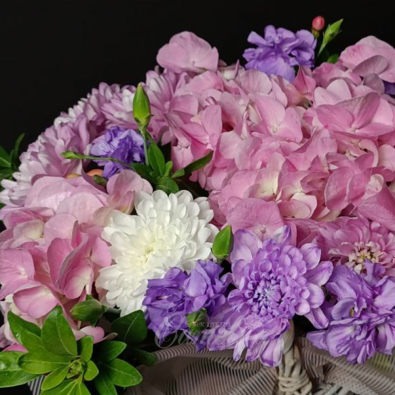 Нежный дуэт 1