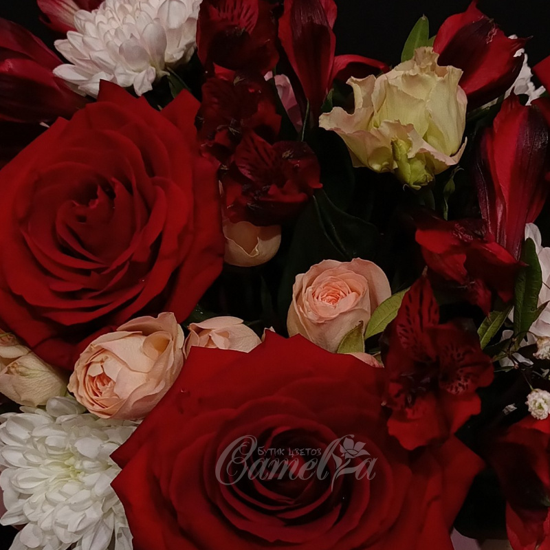 Контрасты чувств. 1