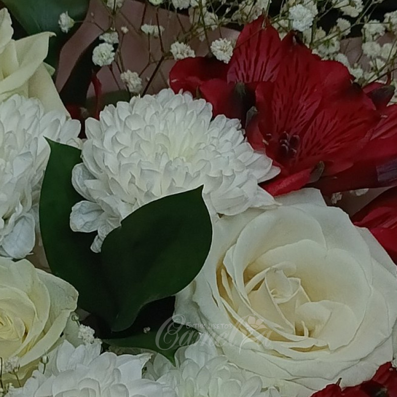 Триумф элегантности 3