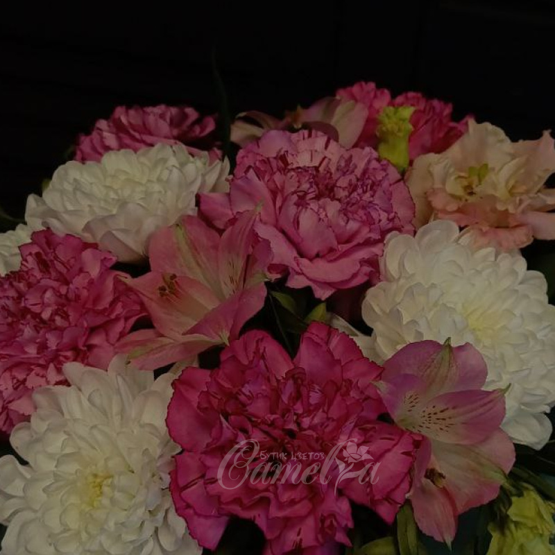 Пушистая нежность 1