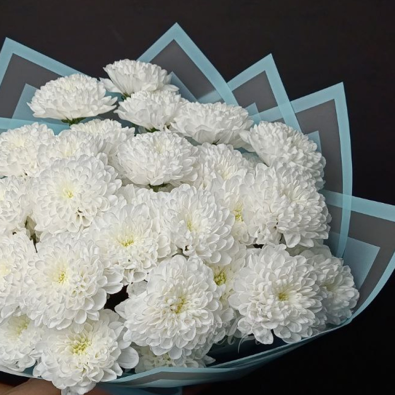 Небесное облако 1